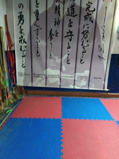 Club Shotokan - Karate Do - Cl. 28 #25 - 34, Girón, Santander, Colombia