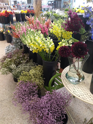 Grocery Store «Horrocks Market», reviews and photos, 4455 Breton Rd SE, Kentwood, MI 49508, USA