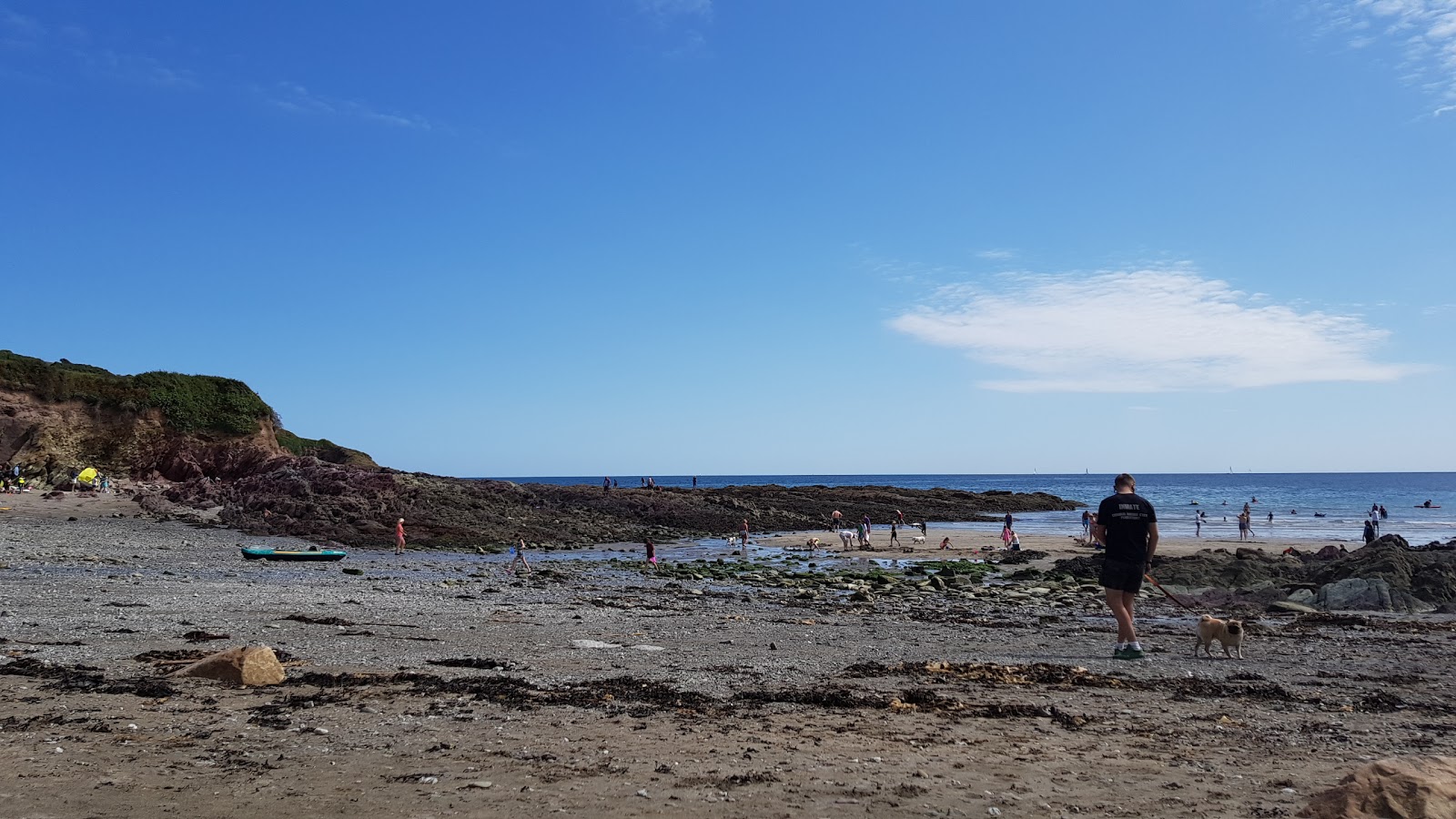 Fotografija Talland Bay beach z nizka stopnjo čistoče