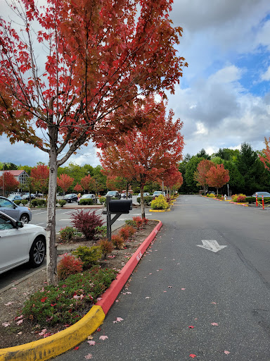 Craft Store «Michaels», reviews and photos, 1802 12th Ave NW a, Issaquah, WA 98027, USA