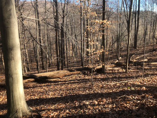 Brushy Hills Trailhead