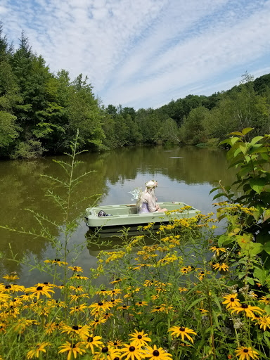 Gift Shop «Stonehedge Gardens», reviews and photos, 51 Dairy Rd, Tamaqua, PA 18252, USA