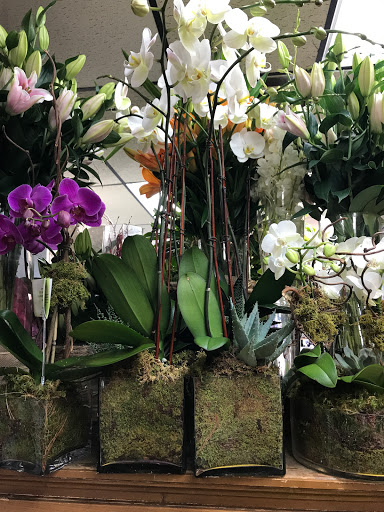 Florist «Fairfield Florist», reviews and photos, 1998 Post Rd, Fairfield, CT 06824, USA