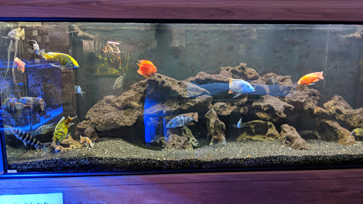 Aquarium «Aquatica», reviews and photos, 800 Clanton Rd H, Charlotte, NC 28117, USA