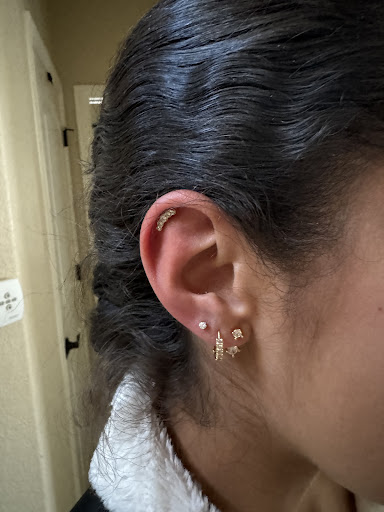 Explore fighting rooster tattoo ideas, creative tattoo ideas in Colorado Springs, available at The Hive Body Piercing & Fine Jewelry