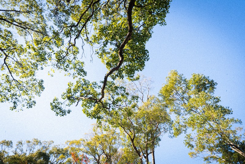 牧野植物園