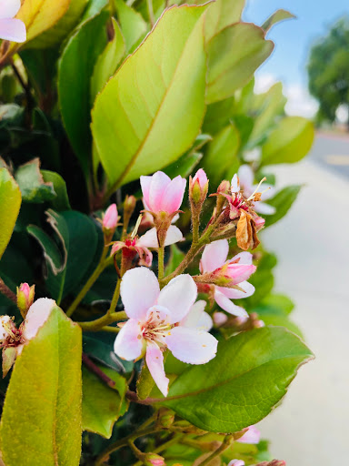 Grocery Store «Greenland Market», reviews and photos, 18901 Colima Rd, Rowland Heights, CA 91748, USA