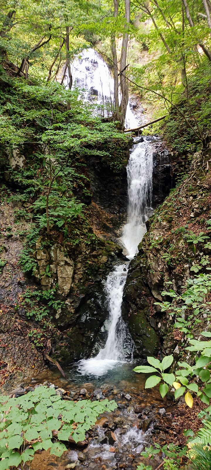 小根津戸の雄滝