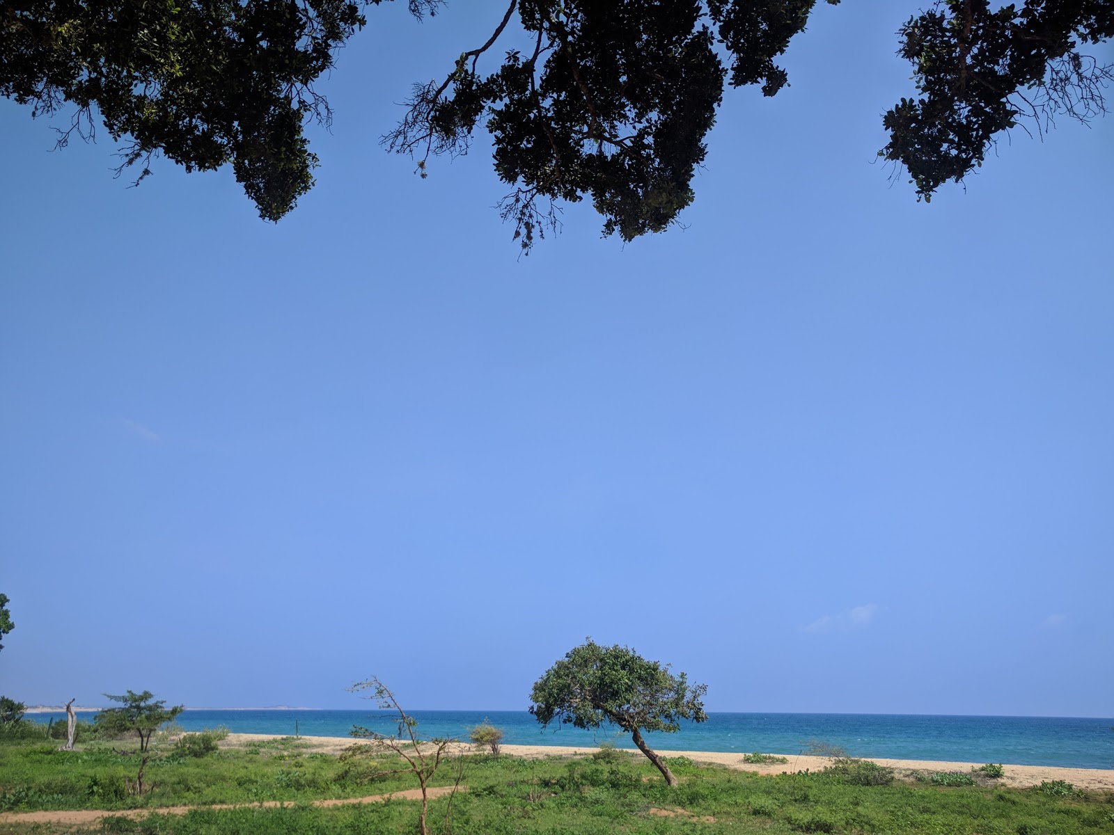 Patanangala Beach photo #8