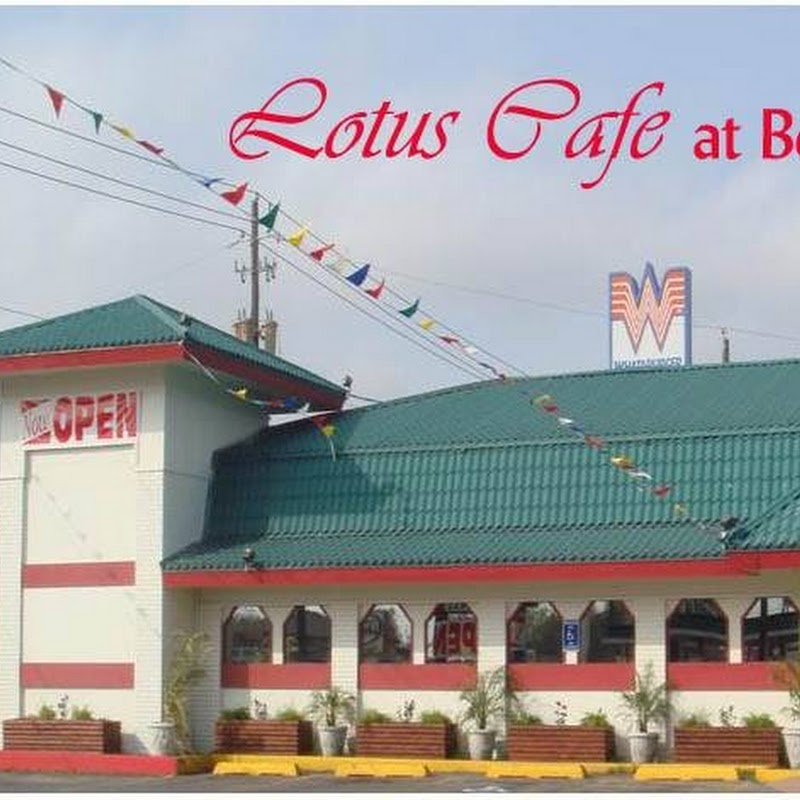 Lotus Cafe at Boca Chica