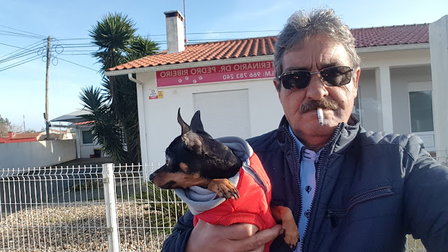 Comentários e avaliações sobre o Clínica Veterinária Dr. Pedro Ribeiro