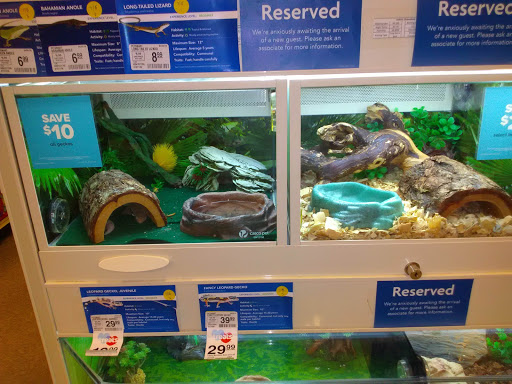 Pet Supply Store «PetSmart», reviews and photos, 3351 Jefferson Davis Hwy, Alexandria, VA 22305, USA