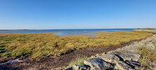 Réserve Naturelle de Moêze-Oléron du Restaurant La Moule à Facettes Dégustation à Dolus-d'Oléron - n°14