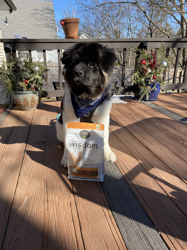 Pet Supply Store «The Natural Pet Outlet», reviews and photos, 3380 Fairfield Ave, Bridgeport, CT 06605, USA