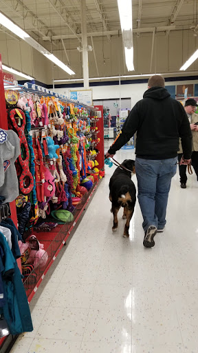 Pet Supply Store «Petco Animal Supplies», reviews and photos, 2765 Papermill Rd G-1, Reading, PA 19610, USA