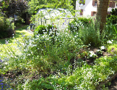 Ploskorez France à Le Creusot