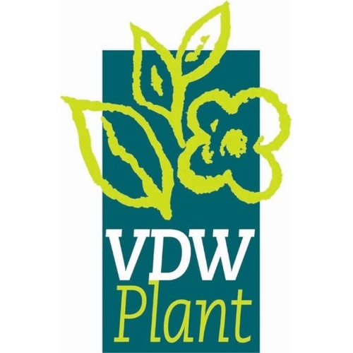 Beoordelingen van VDW Plant in Gent - Tuincentrum