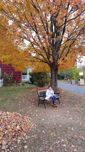 Museum «Queens County Farm Museum», reviews and photos, 73-50 Little Neck Pkwy, Queens, NY 11004, USA