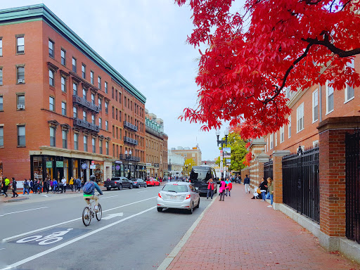 Copy Shop «Gnomon Copy», reviews and photos, 1308 Massachusetts Ave, Cambridge, MA 02138, USA