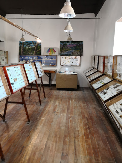 Museo Entomologico de Vicuña