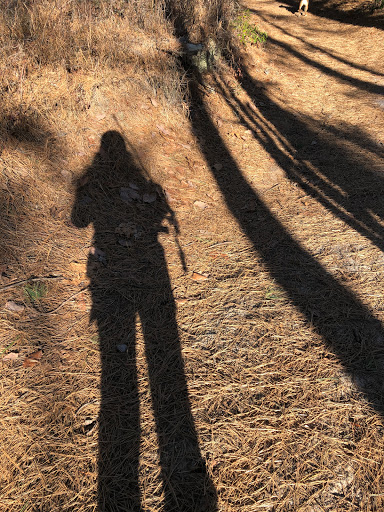 Nature Preserve «Black Run Preserve», reviews and photos, Kettle Run Rd, Evesham Township, NJ 08053, USA