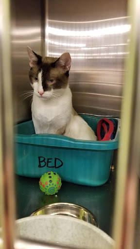 Pet Supply Store «PetSmart», reviews and photos, 5013 S Cleveland Ave, Fort Myers, FL 33907, USA