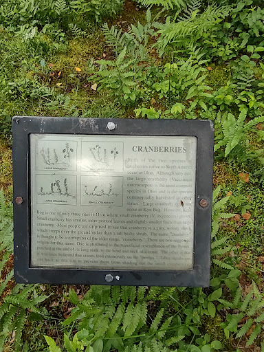 Nature Preserve «Tom S Cooperrider-Kent Bog State Nature Preserve», reviews and photos, 1028 Meloy Rd, Kent, OH 44240, USA