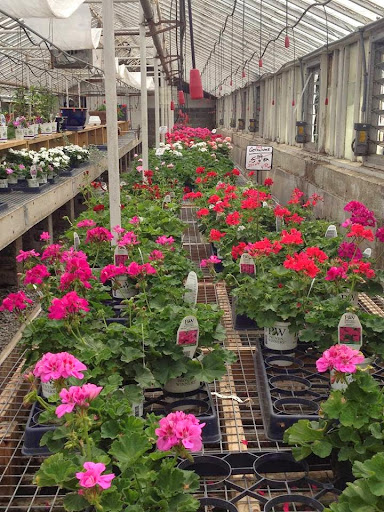 Florist «Kenyon Avenue Floral Co., Inc.», reviews and photos, 243 Kenyon Ave, Wakefield, RI 02879, USA