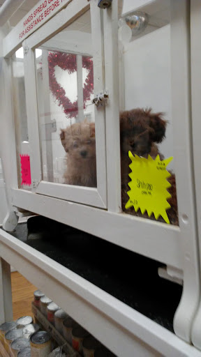 Pet Store «Puppy City», reviews and photos, 3343 Valley Pike, Winchester, VA 22602, USA