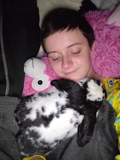 Pet Supply Store «House of Pets Inc», reviews and photos, 29500 Ford Rd, Garden City, MI 48135, USA