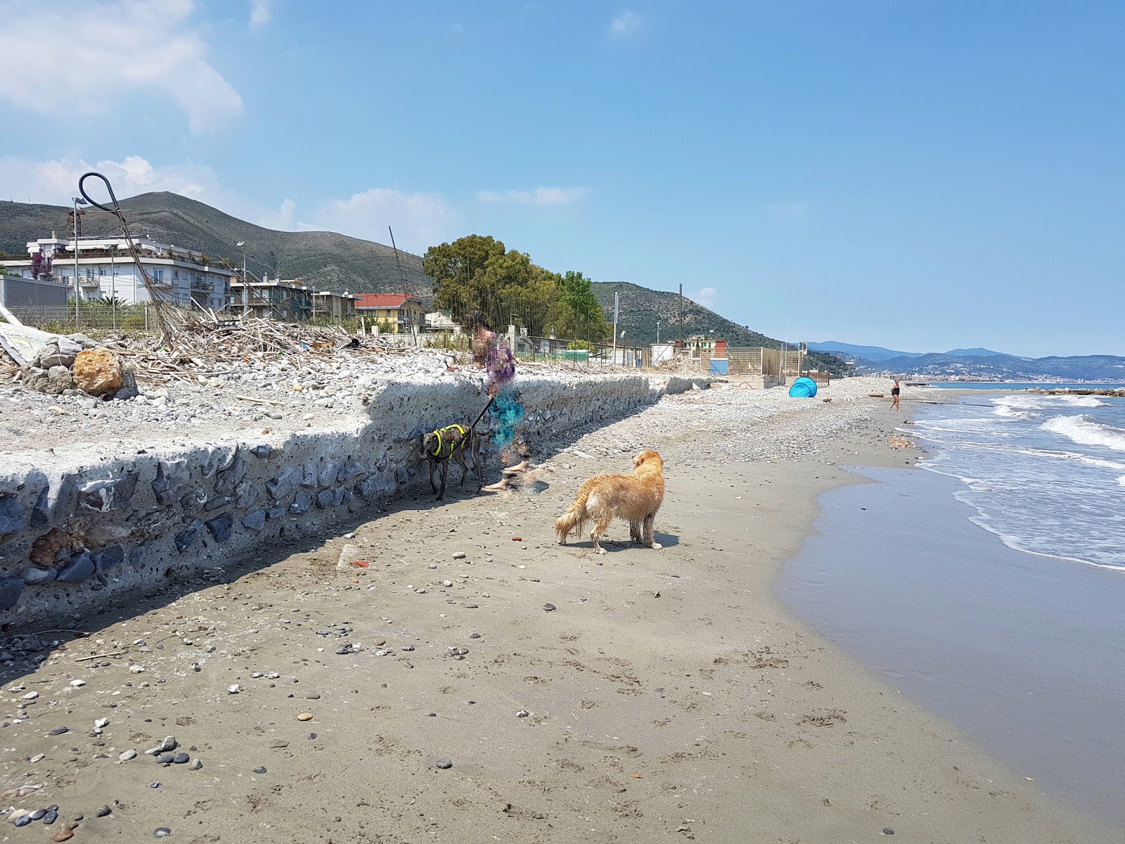 Ceriale dog beach的照片 带有黑沙和卵石表面