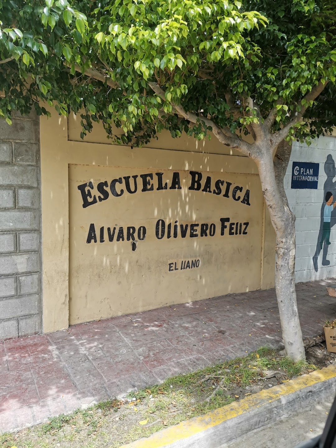 Escuela Básica Álvaro Olivero Feliz