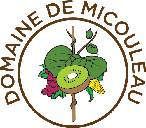 Domaine de Micouleau à Flaujagues