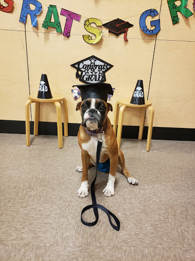 Pet Supply Store «PetSmart», reviews and photos, 849 E 23rd St, Panama City, FL 32405, USA