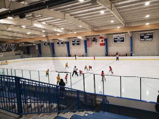 Detroit Skating Club