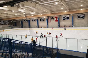 Detroit Skating Club image