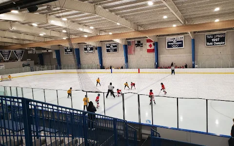 Detroit Skating Club image