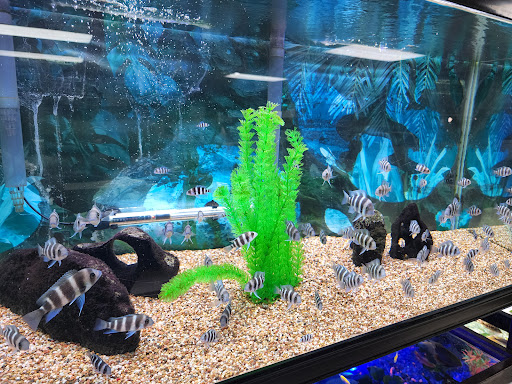 Pet Store «Valley Pets», reviews and photos, 6380 US-85, Fountain, CO 80817, USA