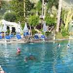 Photo n°1 de l'avis de Erika.i fait le 22/08/2023 à 07:32 sur le  Park Hotel Terme Mediterraneo à Forio