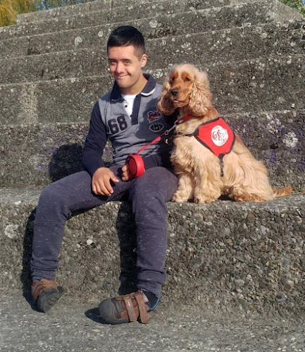 Association Suisse de chiens d'assistance Farah-Dogs Human Assistance - Sitten