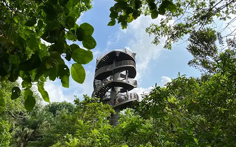 Chestnut Nature Park Observation Tower image