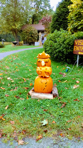 Nature Preserve «Beaver Meadow Audubon Center», reviews and photos, 1610 Welch Rd, Java Center, NY 14082, USA