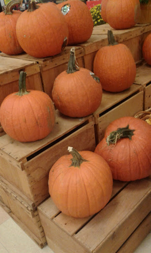 Grocery Store «Winn-Dixie», reviews and photos, 9101 Little Rd, New Port Richey, FL 34654, USA