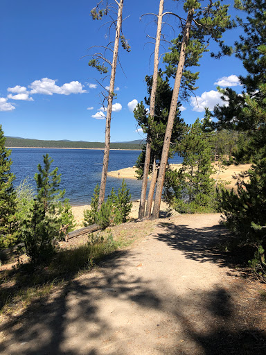 Bicycle Store «Cycles of Life», reviews and photos, 309 Harrison Ave # A, Leadville, CO 80461, USA