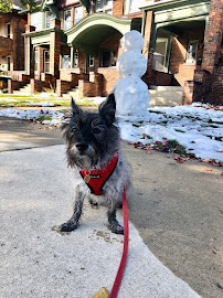 DETROIT WALK CITY - Photo 3 - Car repair in Detroit, MI, Detroit