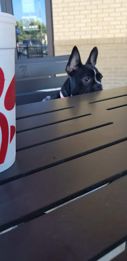 Pet Supply Store «Petco Animal Supplies», reviews and photos, 3680 Spencer Hwy, Pasadena, TX 77504, USA