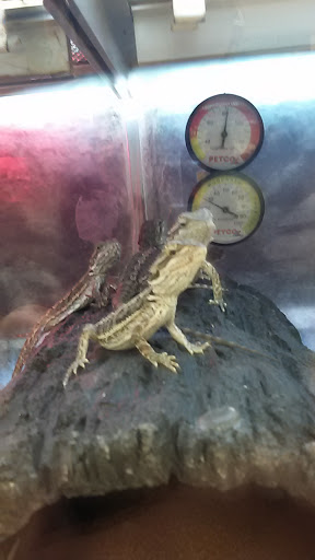 Pet Supply Store «Petco Animal Supplies», reviews and photos, 2541 NW Arterial, Dubuque, IA 52002, USA