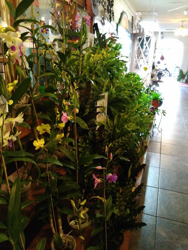 Gift Shop «Whispering Winds - A Happy Little Gift Shop», reviews and photos, 439 N Donnelly St, Mt Dora, FL 32757, USA