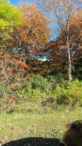 Nature Preserve «Centennial Woods Natural Area», reviews and photos, I-89, Burlington, VT 05401, USA