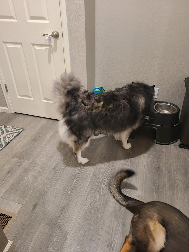 Pet Supply Store «PetSmart», reviews and photos, 2833 35th Ave, Greeley, CO 80634, USA